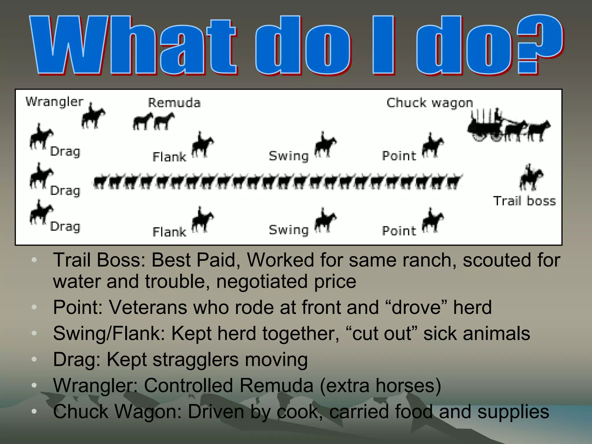 What do I do?Trail Boss: Best Paid, Worked for same ranch, scouted for water and trouble, negotiated pricePoint: Veterans who rode at front and “drove” herdSwing/Flank: Kept herd together, “cut out” sick animalsDrag: Kept stragglers movingWrangler: Controlled Remuda (extra horses)Chuck Wagon: Driven by cook, carried food and supplies