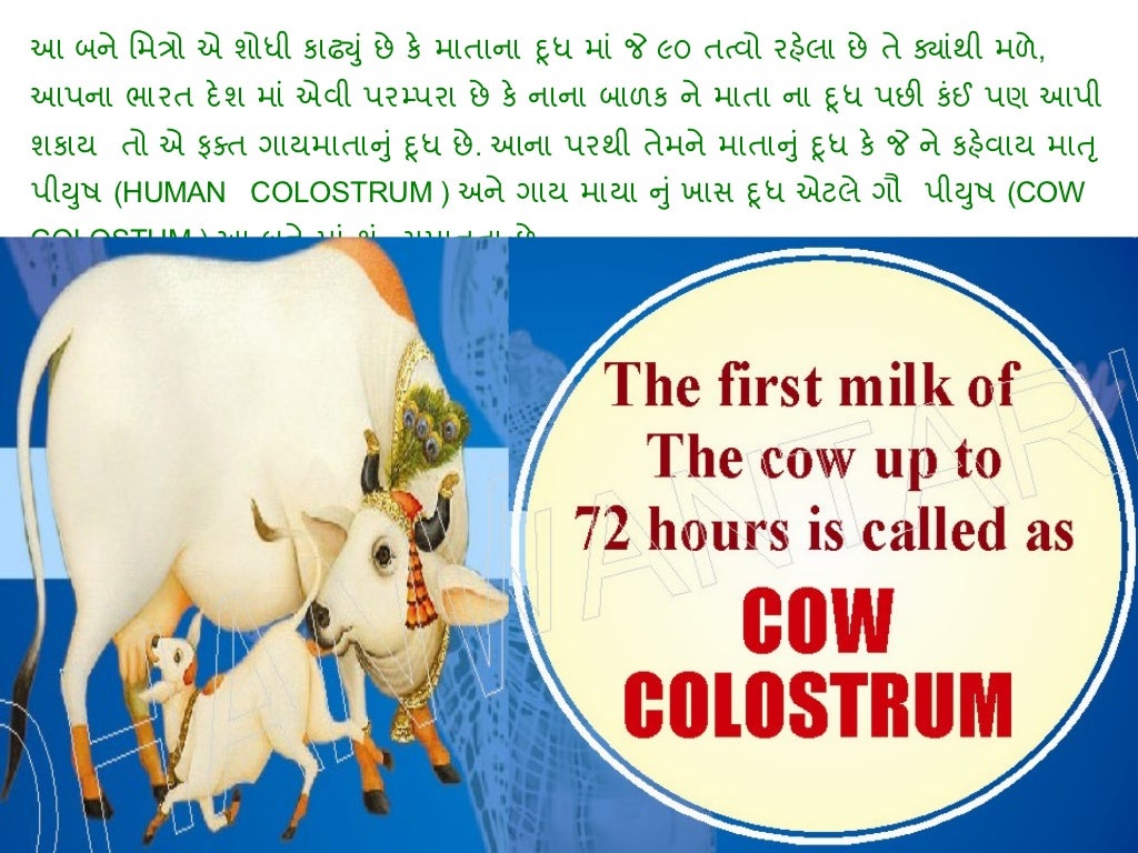 essay on cow in gujarati language
