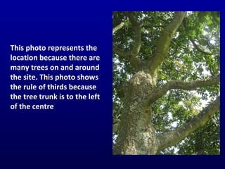 This photo represents the location because there are many trees on and around the site. This photo shows the rule of thirds because the tree trunk is to the left of the centre 