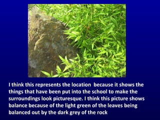 I think this represents the location  because it shows the things that have been put into the school to make the surroundings look picturesque. I think this picture shows balance because of the light green of the leaves being balanced out by the dark grey of the rock 