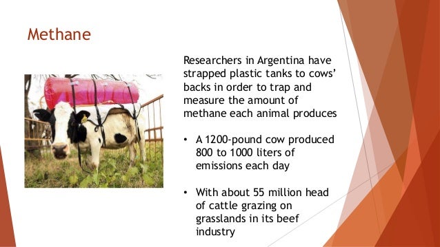 cow-farts-ppt-6-638.jpg