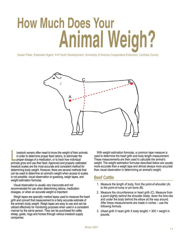 Cow Weight measurement PDF