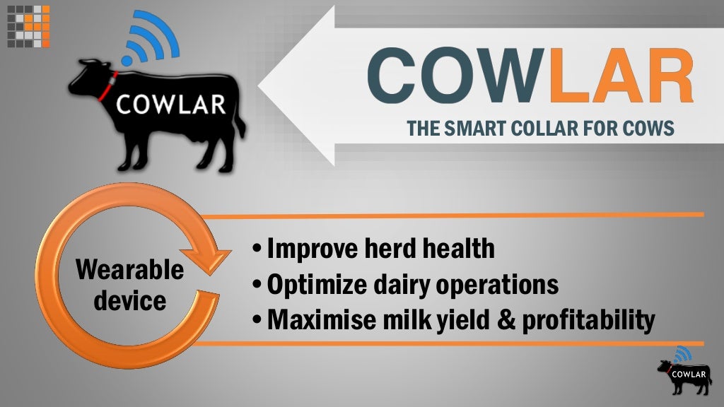 Cowlar The smart collar for cows