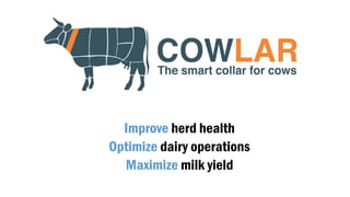 Improve herd health
Optimize dairy operations
Maximize milk yield
 