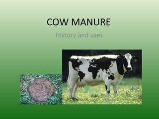 COW MANURE History  and  uses 