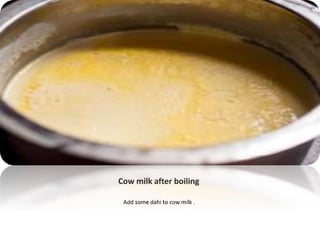 Cow milk products in gurgaon | PPTX