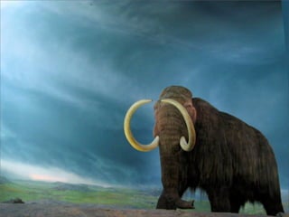 From Cowpaths to Mastadons