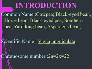 Cowpea | PDF
