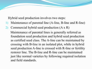 Hybrid seed production involves two steps:
1) Maintenance of parental line (A-line, B-line and R-line)
2) Commercial hybrid seed production (A x R)
Maintenance of parental lines is generally referred as
foundation seed production and hybrid seed production
as certified seed class. The A-line can be maintained by
crossing with B-line in an isolated plot, while in hybrid
seed production A-line is crossed with R-line or fertility
restorer line. The B-line and R-line can be maintained
just like normal varieties by following required isolation
and field standards.
 