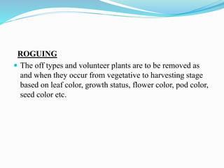ROGUING
 The off types and volunteer plants are to be removed as
and when they occur from vegetative to harvesting stage
based on leaf color, growth status, flower color, pod color,
seed color etc.
 
