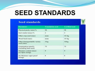 SEED STANDARDS
 