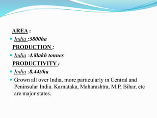 AREA :
 India :5800ha
PRODUCTION :
 India :4.8lakh tonnes
PRODUCTIVITY :
 India :8.44t/ha
 Grown all over India, more particularly in Central and
Peninsular India. Karnataka, Maharashtra, M.P, Bihar, etc
are major states.
 