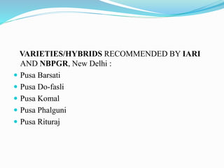 VARIETIES/HYBRIDS RECOMMENDED BY IARI
AND NBPGR, New Delhi :
 Pusa Barsati
 Pusa Do-fasli
 Pusa Komal
 Pusa Phalguni
 Pusa Rituraj
 