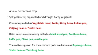 COW PEA production technology and cultivation.pptx