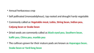 The production technology of COW PEA .pptx