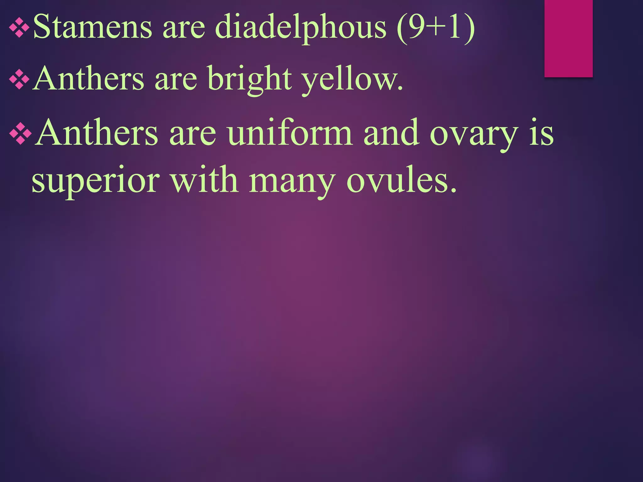 Stamens are diadelphous (9+1)
Anthers are bright yellow.
Anthers are uniform and ovary is
superior with many ovules.
 