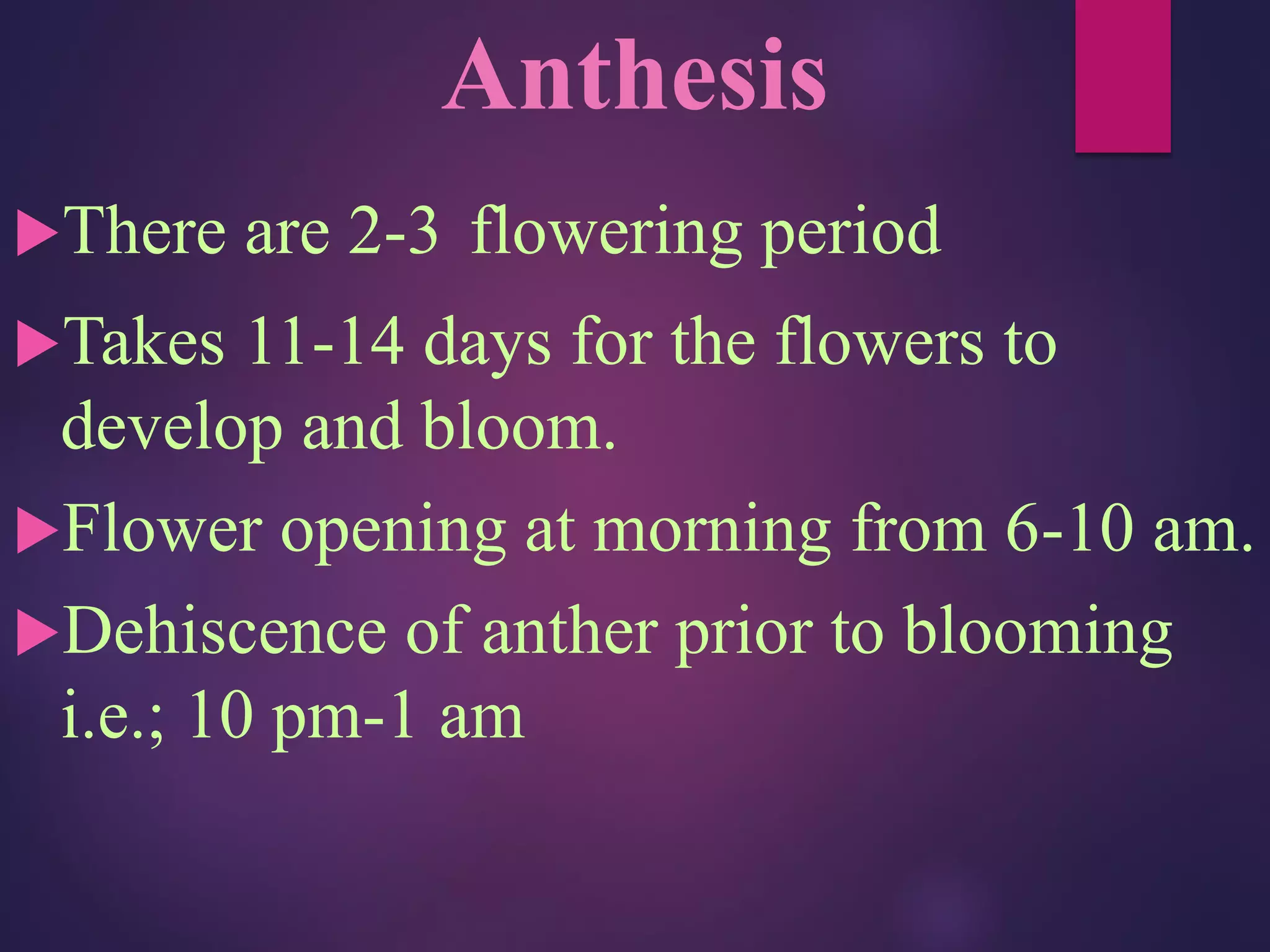 Anthesis
There are 2-3 flowering period
Takes 11-14 days for the flowers to
develop and bloom.
Flower opening at morning from 6-10 am.
Dehiscence of anther prior to blooming
i.e.; 10 pm-1 am
 
