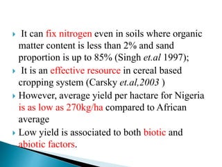  It can fix nitrogen even in soils where organic
matter content is less than 2% and sand
proportion is up to 85% (Singh et.al 1997);
 It is an effective resource in cereal based
cropping system (Carsky et.al,2003 )
 However, average yield per hactare for Nigeria
is as low as 270kg/ha compared to African
average
 Low yield is associated to both biotic and
abiotic factors.
 
