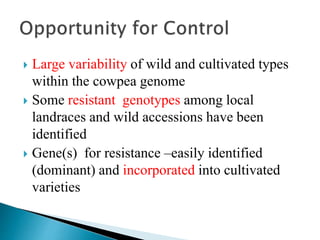  Large variability of wild and cultivated types
within the cowpea genome
 Some resistant genotypes among local
landraces and wild accessions have been
identified
 Gene(s) for resistance –easily identified
(dominant) and incorporated into cultivated
varieties
 
