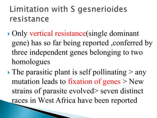  Only vertical resistance(single dominant
gene) has so far being reported ,conferred by
three independent genes belonging to two
homologues
 The parasitic plant is self pollinating > any
mutation leads to fixation of genes > New
strains of parasite evolved> seven distinct
races in West Africa have been reported
 