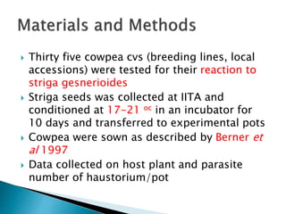 Thirty five cowpea cvs (breeding lines, local
accessions) were tested for their reaction to
striga gesnerioides
 Striga seeds was collected at IITA and
conditioned at 17-21 oc in an incubator for
10 days and transferred to experimental pots
 Cowpea were sown as described by Berner et
al 1997
 Data collected on host plant and parasite
number of haustorium/pot
 