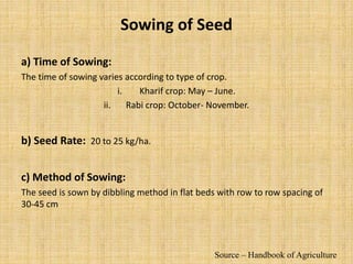 Sowing of Seed
a) Time of Sowing:
The time of sowing varies according to type of crop.
i. Kharif crop: May – June.
ii. Rabi crop: October- November.
b) Seed Rate: 20 to 25 kg/ha.
c) Method of Sowing:
The seed is sown by dibbling method in flat beds with row to row spacing of
30-45 cm
Source – Handbook of Agriculture
 