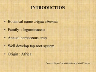 INTRODUCTION
• Botanical name :Vigna sinensis
• Family : leguminaceae
• Annual herbaceous crop
• Well develop tap root system
• Origin : Africa
Source: https://en.wikipedia.org/wiki/Cowpea
 