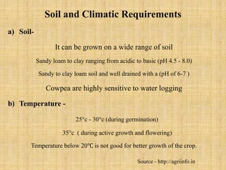 Soil and Climatic Requirements
a) Soil-
It can be grown on a wide range of soil
Sandy loam to clay ranging from acidic to basic (pH 4.5 - 8.0)
Sandy to clay loam soil and well drained with a (pH of 6-7 )
Cowpea are highly sensitive to water logging
b) Temperature -
25°c - 30°c (during germination)
35°c ( during active growth and flowering)
Temperature below 20℃ is not good for better growth of the crop.
Source - http://agriinfo.in
 