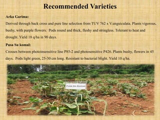Recommended Varieties
Arka Garima:
Derived through back cross and pure line selection from TUV 762 x V.unguiculata. Plants vigorous,
bushy, with purple flowers. Pods round and thick, fleshy and stringless. Tolerant to heat and
drought. Yield 18 q/ha in 90 days.
Pusa Su komal:
Crosses between photoinsensitive line P85-2 and photosensitive P426. Plants bushy, flowers in 45
days. Pods light green, 25-30 cm long. Resistant to bacterial blight. Yield 10 q/ha.
 