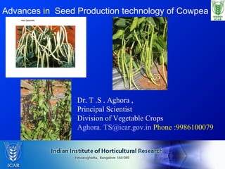 Advances in Seed Production technology of Cowpea
Dr. T .S . Aghora ,
Principal Scientist
Division of Vegetable Crops
Aghora. TS@icar.gov.in Phone :9986100079
 