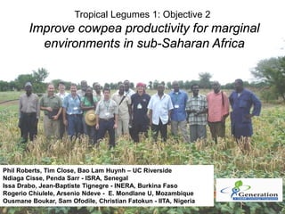 Tropical Legumes 1: Objective 2
Improve cowpea productivity for marginal
environments in sub-Saharan Africa
Phil Roberts, ...