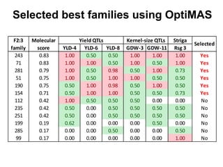 Selected best families using OptiMAS
Striga
YLD-4 YLD-6 YLD-8 GDW-3 GDW-11 Rsg 3
243 0.83 1.00 0.50 0.50 1.00 1.00 1.00 Ye...