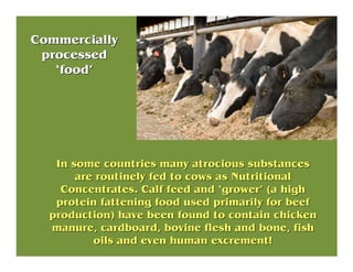 In some countries many atrocious substancesIn some countries many atrocious substances
are routinely fed to cows as Nutrit...