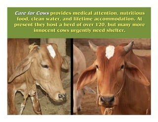 www.careforcows.orgwww.careforcows.org
 
