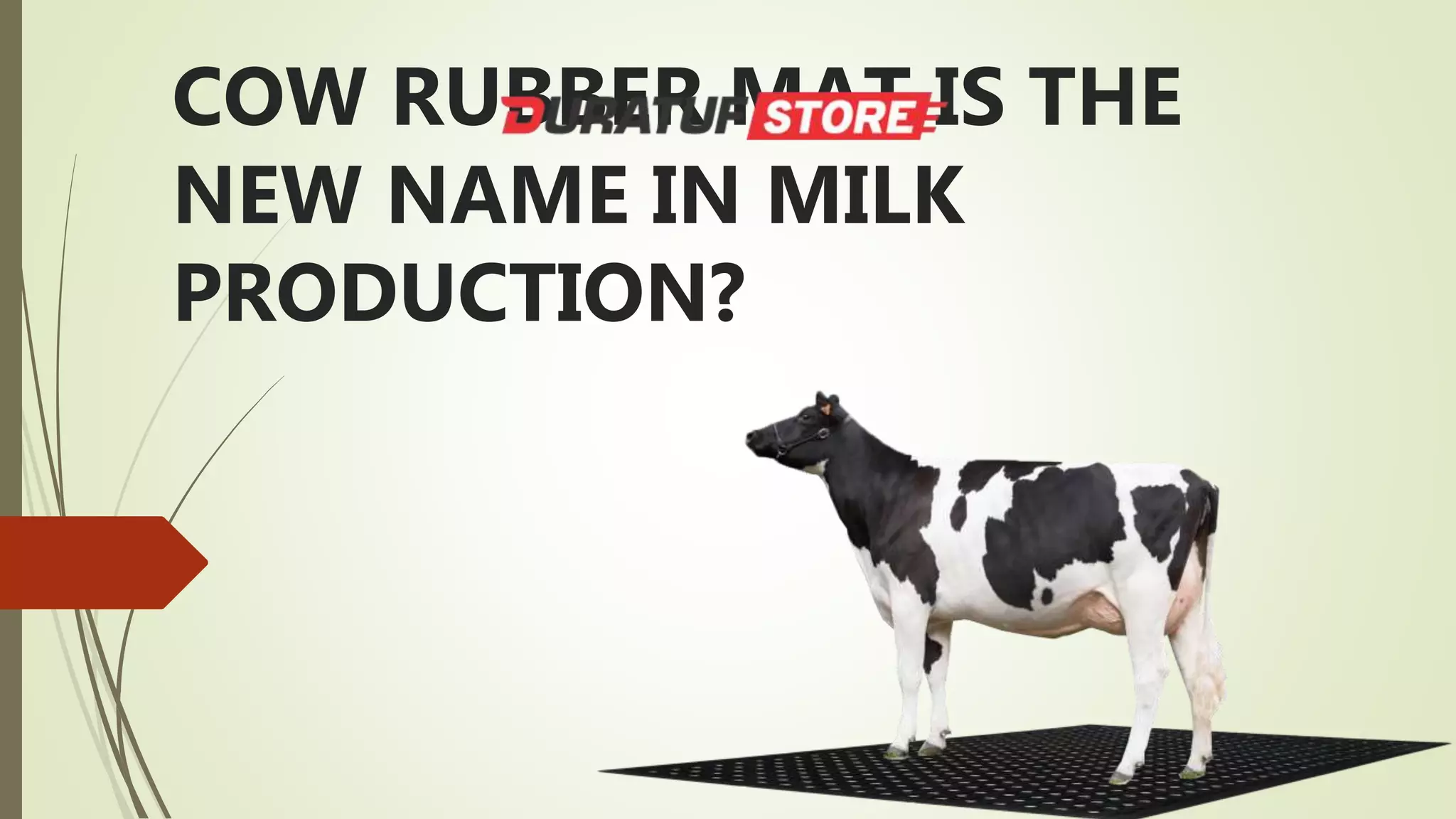 Rubber Milk Process Increase your cow milk production through cow rubber matting! | PPTX