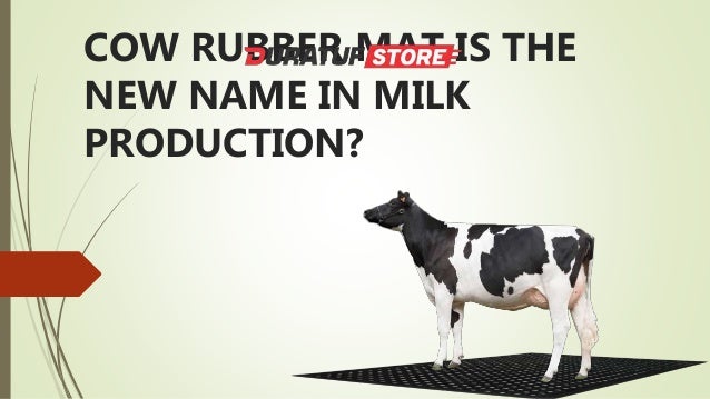 Increase Your Cow Milk Production Through Cow Rubber Matting