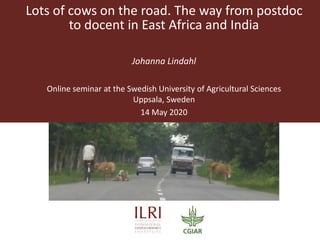Lots of cows on the road. The way from postdoc
to docent in East Africa and India
Johanna Lindahl
Online seminar at the Swedish University of Agricultural Sciences
Uppsala, Sweden
14 May 2020
 