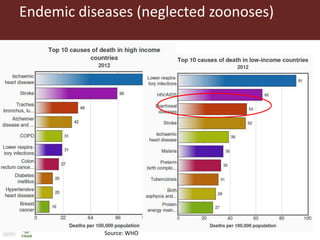 Endemic diseases (neglected zoonoses)
Source: WHO
 