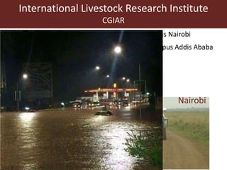 International Livestock Research Institute
CGIAR
2 Departments:
Integrated sciences
Biosciences
• Animal & human health
Nairobi
Main campus Nairobi
Second campus Addis Ababa
 