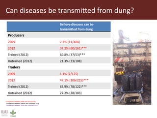 Can diseases be transmitted from dung?
50
Believe diseases can be
transmitted from dung
Producers
2009 2.7% (11/404)
2012 37.2% (60/161)***
Trained (2012) 69.8% (37/53)***
Untrained (2012) 21.3% (23/108)
Traders
2009 1.1% (2/175)
2012 47.1% (106/225)***
Trained (2012) 63.9% (78/122)***
Untrained (2012) 27.2% (28/103)
Comparison between 2009 and 2012 survey
Comparison between trained and untrained 2012
Comparison between 2009 and untrained 2012
 