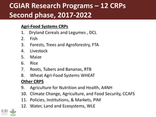 Lots of cows on the road. The way from postdoc to docent in East Africa and India