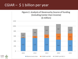 Lots of cows on the road. The way from postdoc to docent in East Africa and India