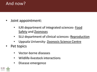 Lots of cows on the road. The way from postdoc to docent in East Africa and India