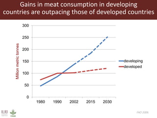 Lots of cows on the road. The way from postdoc to docent in East Africa and India