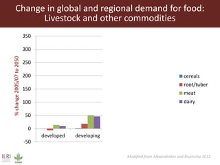 Lots of cows on the road. The way from postdoc to docent in East Africa and India