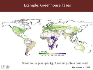 Lots of cows on the road. The way from postdoc to docent in East Africa and India