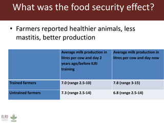 Lots of cows on the road. The way from postdoc to docent in East Africa and India