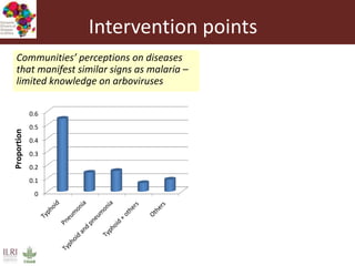 Lots of cows on the road. The way from postdoc to docent in East Africa and India