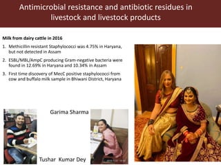 Lots of cows on the road. The way from postdoc to docent in East Africa and India