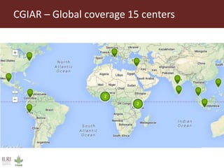 Lots of cows on the road. The way from postdoc to docent in East Africa and India